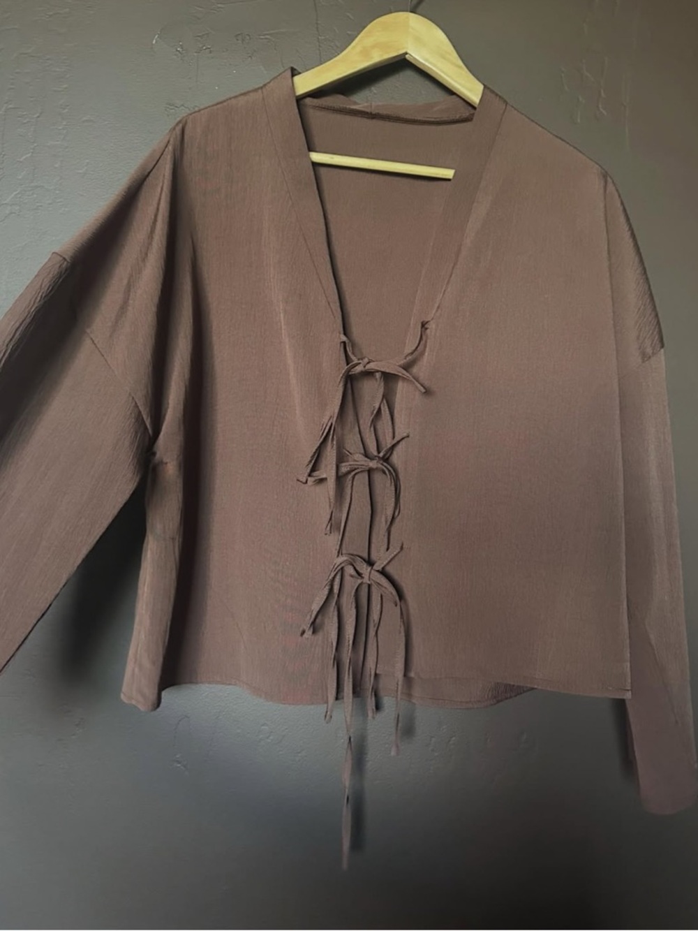 Brown Lace-Up V-Neck Long Sleeve Blouse